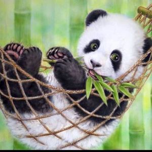 Meet your Posher, Bennington